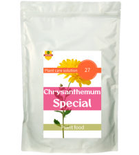 Chrysanthemum Special 1800 grams